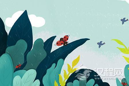 多元化的成功定义：攀登不止一座峰顶