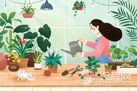 探索内心之旅：如何不被表象迷惑