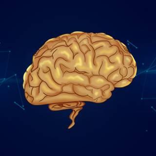 斯坦福智商测试题-I