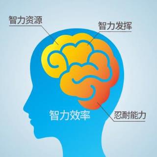 智力效率量表 IE