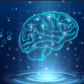 全脑优势HBDI测试