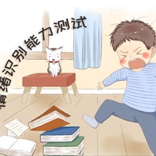 情绪识别能力测试