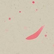 在异性眼中 你是个怎样的女人