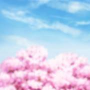 上帝会让你哪种期望落空呢