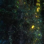 测你婚姻安全感指数