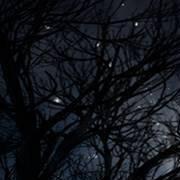 好恐怖的测试！你为什么无人问津？