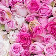 测测你的隐性性格