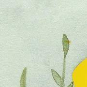 看看你的内在情感