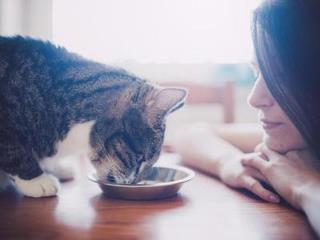 你的爱情会出啥意外