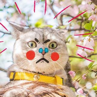 你是吸血鬼家族中谁