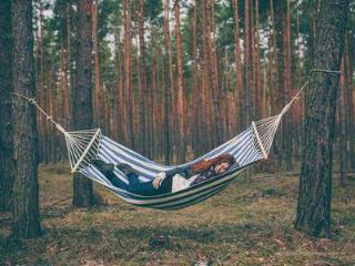 你是冰河世纪里的谁