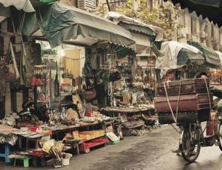 哪种魅力男人适合你