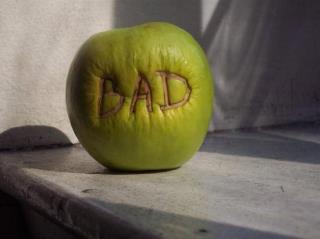 你是哪种幸福毛毛虫