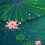 你为自己积下了多少善德？