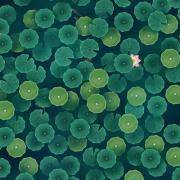 这个夏天你会不会有好运气？