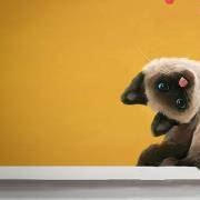 你的撒娇功力有多强？