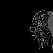 你的大脑性别是男是女？