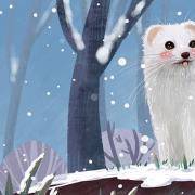 你是什么属性的萌