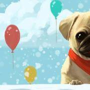 你的性格像哪种狗狗？