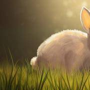 你的反差萌指数有多高？