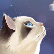 你是哪一种萌萌哒