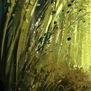 6条森林小路，你选哪一条？