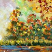 你的保护色是什么颜色？