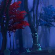 死后你的灵魂会去哪？