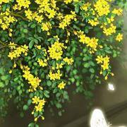 你的回头率有多高？