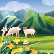 你的性格是只羊or狼？