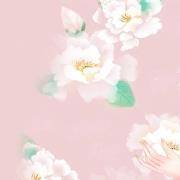 你的性格有多骄横？