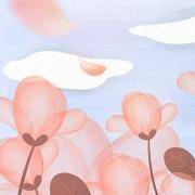 你有几分偶像气质？