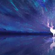 下辈子你会投胎变成什么？