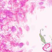 透视你的优缺点