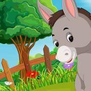 你是犟脾气吗？