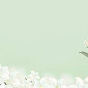 你的内心有多纯洁？