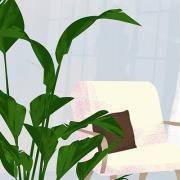 你的性格占了五行四象中的哪一种