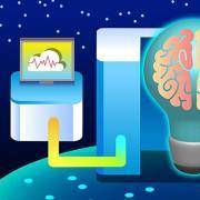 你的左右脑分别是哪种性别？