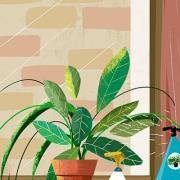 测你是不是一个大器晚成型选手