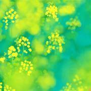 生活中，什么人你最好敬而远之？