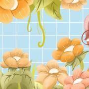 你是装嫩界的帝王吗？