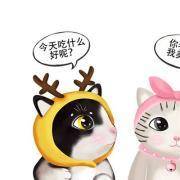 你的智商离白痴有多远