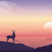 你是一个有个性、有思想及有主见的人吗？