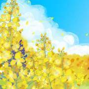 你的异性人气度爆棚吗？