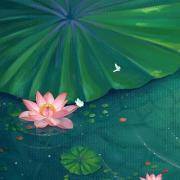 你的福报系数有多高？