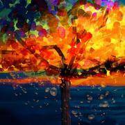 灵魂检验：寻找你灵魂的颜色