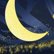 你的性格有多固执？