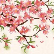 你的桃花幸运色是啥