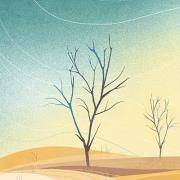 爱情中，你有多残忍？