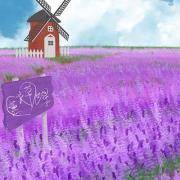 你有多少人格魅力？